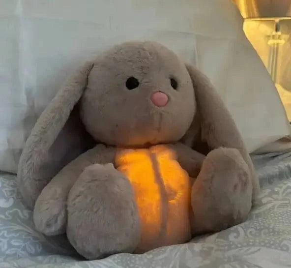 Rabbit Sensory Plush Toy - Rafaga1