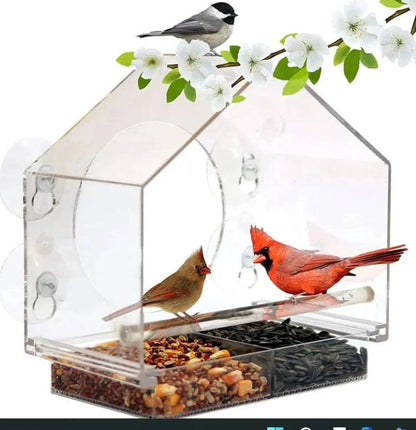 Smart Bird Feeder - Rafaga1