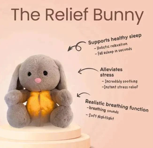 Rabbit Sensory Plush Toy - Rafaga1