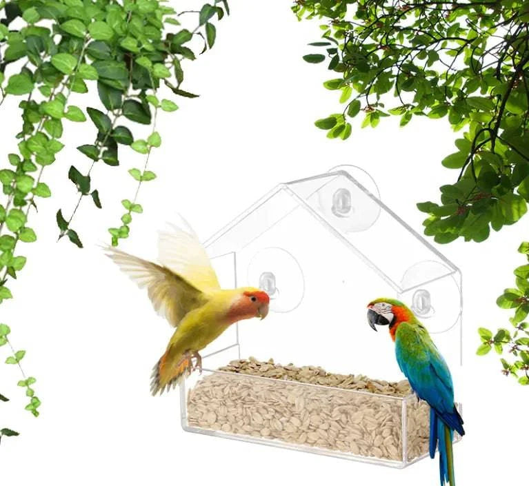 Smart Bird Feeder - Rafaga1