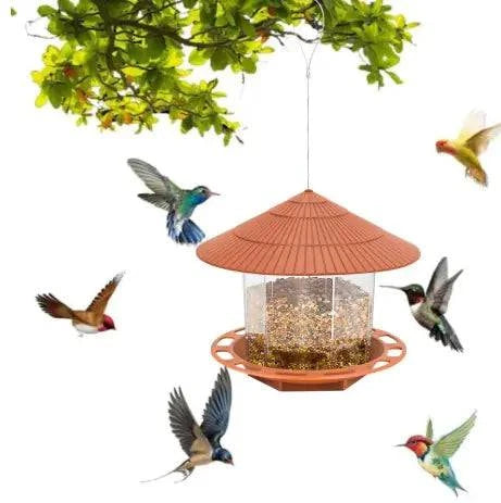 Automatic Bird Feeder - Rafaga1