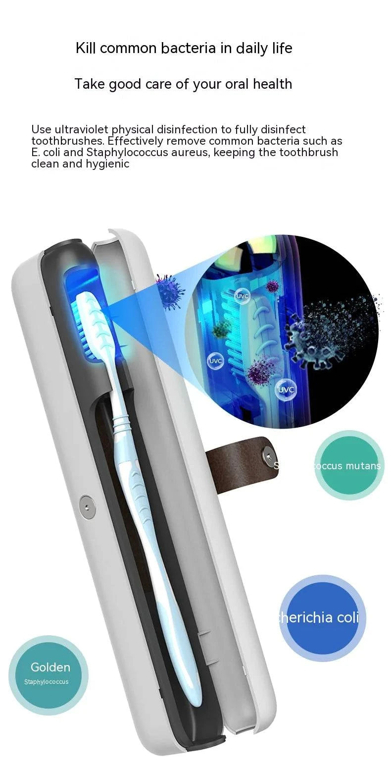 Portable Toothbrush Sterilizer - Rafaga1