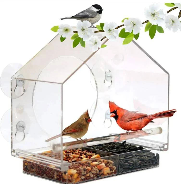 Smart Bird Feeder - Rafaga1