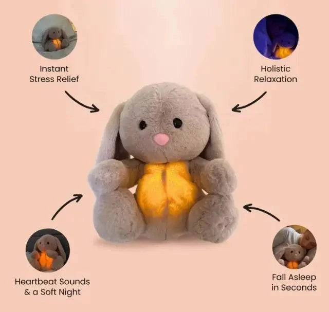 Rabbit Sensory Plush Toy - Rafaga1